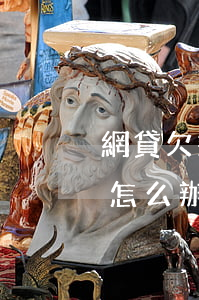 網貸欠幾百可以不還嗎(網貸欠款幾千元不還怎么辦)