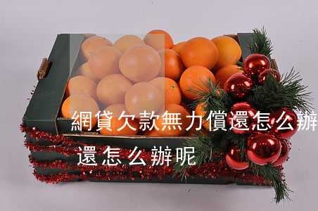 網貸欠款無力償還怎么辦-網貸欠款無力償還怎么辦呢