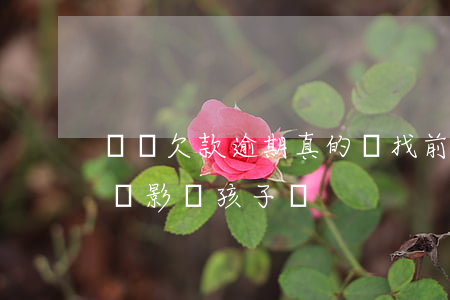 網貸欠款逾期真的會找前妻嗎(前夫網貸逾期會影響孩子嗎)