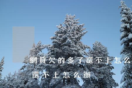 網貸欠的多了還不上怎么辦(我欠了很多網貸還不上怎么辦)