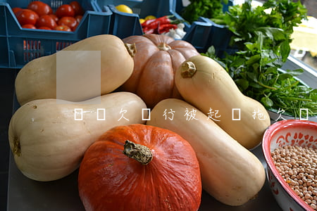 網貸欠銀行被起訴(拖欠網貸被起訴)