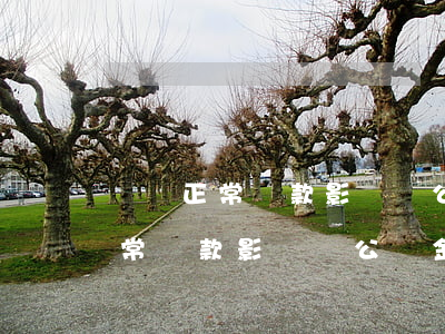 網貸正常還款影響純公積金貸款么-網貸正常還款影響純公積金貸款么嗎