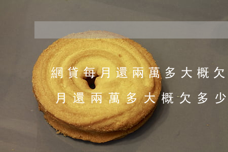 網貸每月還兩萬多大概欠多少本金-網貸每月還兩萬多大概欠多少本金呢