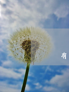 網貸沒有逾期能去當兵嗎