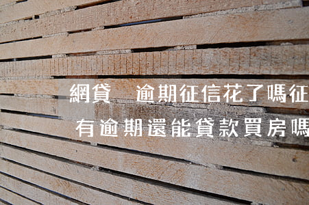 網貸沒逾期征信花了嗎(征信因為網貸花了沒有逾期還能貸款買房嗎)