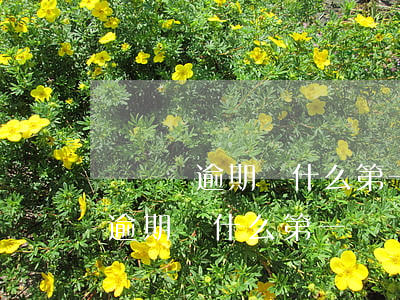 網貸沒逾期為什么第一時間不起訴-網貸沒逾期為什么第一時間不起訴了