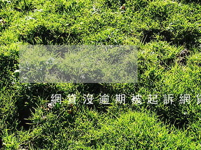 網貸沒逾期被起訴(網貸逾期不還被起訴)