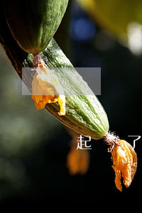 網貸沒還說要起訴了是真的嗎（網貸沒還說要起訴了）