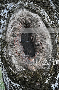網貸為什么逾期時間越長電話越少-網貸為什么逾期時間越長電話越少呢