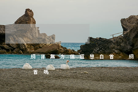網貸無力償還想自首-網貸還不起可以去自首嗎