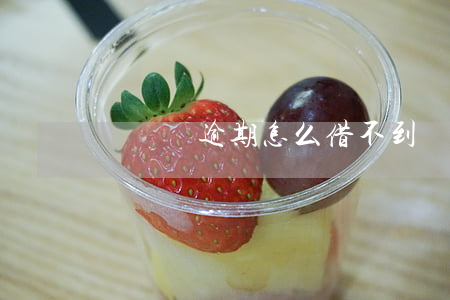 網貸無逾期怎么借不到(網貸從來沒有逾期過)