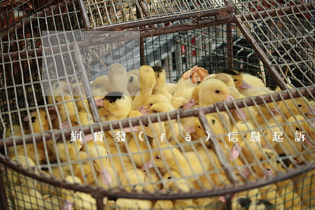 網貸發(fā)信息起訴