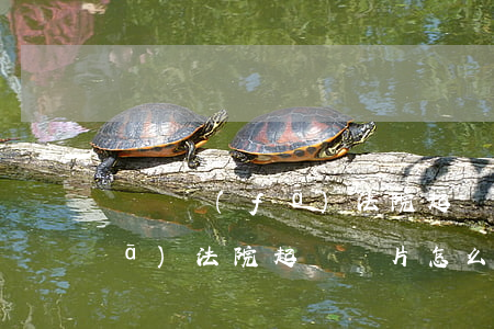 網貸發(fā)法院起訴圖片-網貸發(fā)法院起訴圖片怎么發(fā)