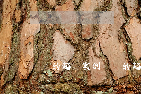 網貸的起訴案例(網貸的起訴案例大全)