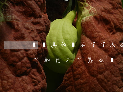 網貸真的還不了了怎么辦(我的網貸為什么還了都借不了怎么辦)