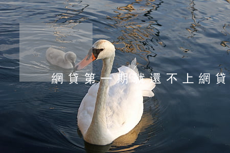 網貸第一期就還不上（網貸第一期無力償還）