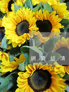 網貸結清沒逾期能車貸嗎