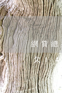 網貸總共欠1448億誰來買單-網貸總共欠1448億誰來買單呢