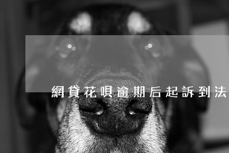 網貸花唄逾期后起訴到法院怎么辦