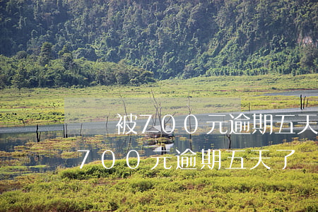 網貸被700元逾期五天了會怎樣-網貸被700元逾期五天了會怎樣處理