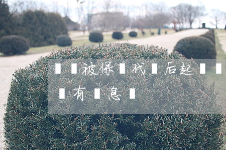 網貸被保險代償后起訴(網貸被保險代償了,還會有罰息嗎?)