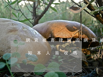 網貸被寄律師函(網貸被寄律師函到村里會通知本人簽收嗎)