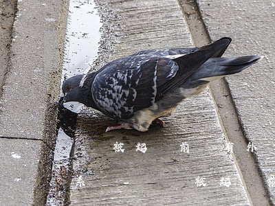 網貸被起訴前會有外訪部人聯(lián)系嗎-網貸被起訴前會有外訪部人聯(lián)系嗎怎么辦