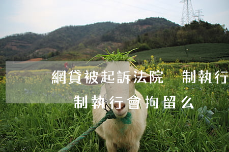 網貸被起訴法院強制執行會怎樣(網貸被起訴強制執行會拘留么)