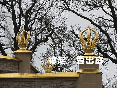 網貸被起訴要出庭嗎(網貸被起訴需要找律師嗎)