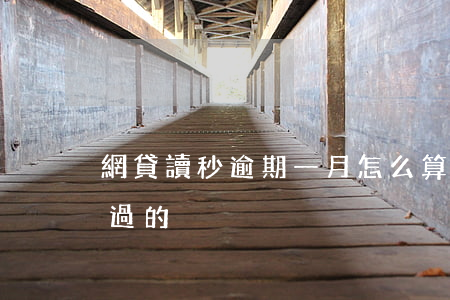 網貸讀秒逾期一月怎么算(借一個月的網貸秒過的)