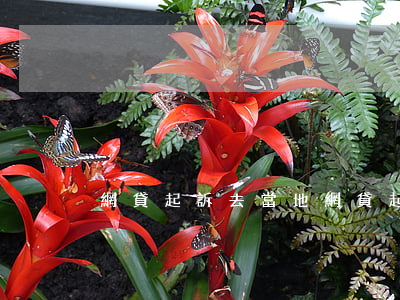 網貸起訴去當地(網貸起訴到當地法院)