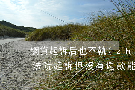 網貸起訴后也不執(zhí)行-網貸逾期法院起訴但沒有還款能力