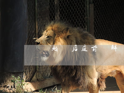 網貸起訴后庭前調解(網貸法院訴前調解)