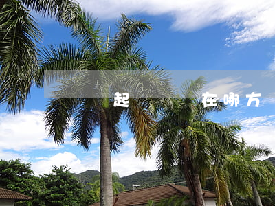 網貸起訴應該在哪方(網貸起訴在哪里)