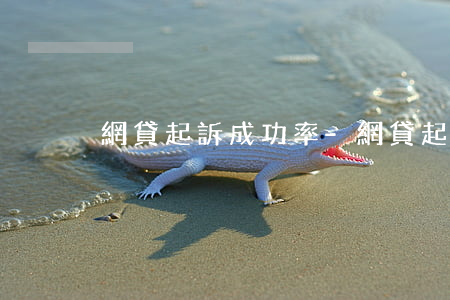 網貸起訴成功率-網貸起訴成功會怎么樣