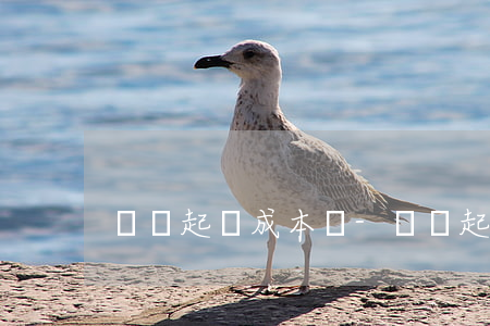 網貸起訴成本費-網貸起訴成本費
