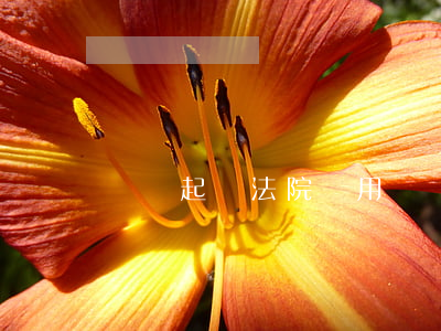 網貸起訴法院費用