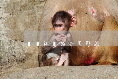 網貸起訴的合同形式