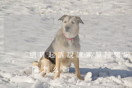 網貸起訴說讓家屬陪同(網貸起訴說讓家屬陪同怎么辦)