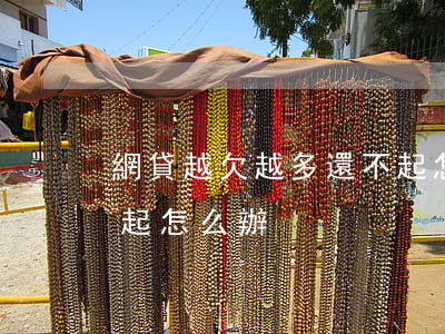 網貸越欠越多還不起怎么辦(網貸欠多了還不起怎么辦)