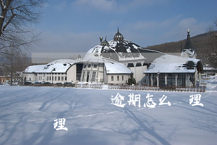 網貸車貸逾期怎么處理(車貸逾期會怎么樣處理)