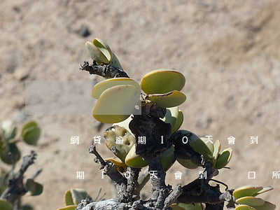 網貸逾期10天會到戶口所在地嗎-網貸逾期10天會到戶口所在地嗎怎么辦