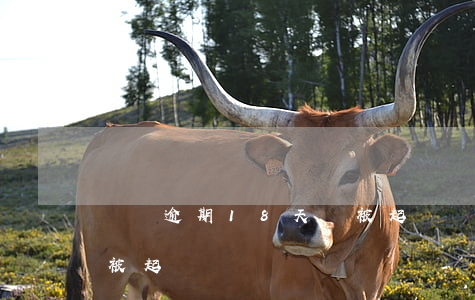 網貸逾期18天會被起訴 網貸逾期20天會被起訴嗎