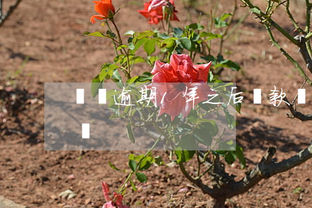 網貸逾期1年之后還款(網貸逾期1年會怎么樣)