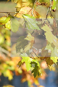 網貸逾期1次能辦信用卡嗎(網貸逾期還能辦信用卡嗎)