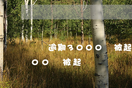 網貸逾期3000會被起訴嘛(網貸逾期3000會被起訴嗎)
