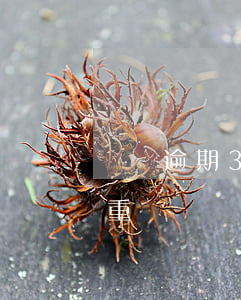網貸逾期3年會被追逃嗎(網貸逾期三年了嚴重嗎)