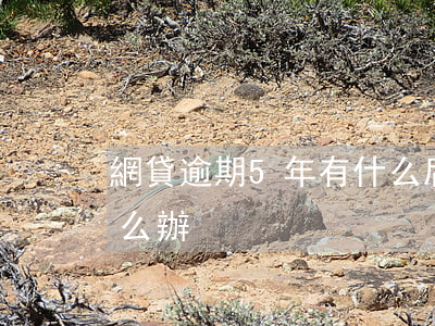 網貸逾期5年有什么后果(網貸逾期5年了怎么辦)