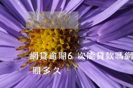 網貸逾期6次能貸款嗎(網絡貸款最多可以逾期多久)