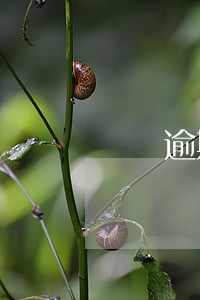 網貸逾期800元的圖片(最新網貸逾期圖片)